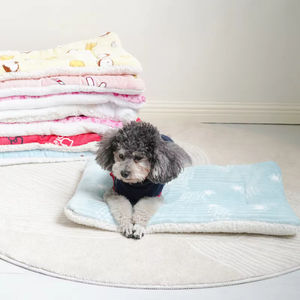 Alfombra de Lujo para Mascotas, Diseño Moderno con Dibujos Animados, Ecológica, Resistente al Frío Invernal, para Perros y Gatos - Product Image 2