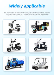 مهلة 3 أيام 48 فولت 30 أمبير بطارية ليثيوم فوسفات الحديد للسكوتر الكهربائي حزمة بطارية دراجة نارية كهربائية أيون 48 فولت Lifepo4 - Product Image 6