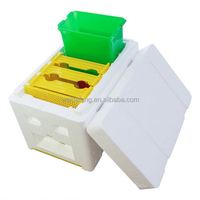 Mini ruche en mousse de polystyrène, kit de démarrage d'apiculture en plastique, boîte d'accouplement pour abeilles