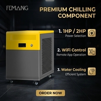 Refroidisseur de Bain de Glace 2HP pour Athlètes, Système de Refroidissement Professionnel à l'Eau, Stérilisation à l'Ozone, Machine de Refroidissement Rapide pour Plongée Froide