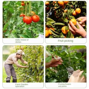 Outil de cueillette multifonctionnel pour jardinage DIY : séparateur de fruits et légumes, couteau à pouce pour la récolte agricole - Product Image 2