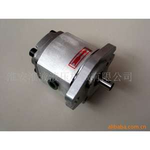 Pompes à engrenages à palettes série HGP-1A-F1/2/3/4/5/6/8R - Product Image 2