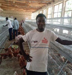 Un tipo di batteria gabbia di pollo strati di allevamento di pollame 3 livelli 4 porte 96 uccelli deposizione uova galline allevamento gabbie per la vendita in <span class=keywords><strong>Karachi</strong></span> - Product Image 4