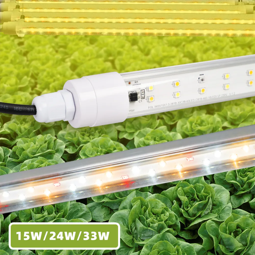 Active Grow T8/T12高出力4FTLEDグローライト電球-屋内植物、発芽、マイクログリーン用のT8グローライト