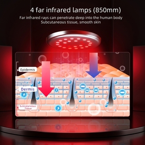 Masseur Facial Thérapeutique Infrarouge 850nm pour une Absorption Optimale de la Crème Visage, Atténuation des Rides, Raffermissement de la Peau et Anti-Âge (Lumière Rouge) - Édition US - Product Image 2