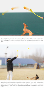 Dropshipping Agent Squeaky Dental Chew Outdoor Fetch Stick Dog Toy Sourcing Agent Drop Ship - Product Image 6