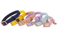 Collier personnalisé en PVC souple avec accessoires dorés clairs, étanche, pour chien et chat, fabrication en usine, sécurité garantie