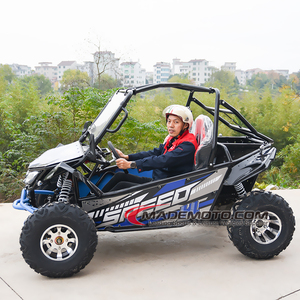Gold-buggy-điện EU Ware nhà đóng điện đi Kart 3000W người lớn lớn hai chỗ ngồi Buggy - Product Image 2