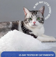 Litière pour chat en cristaux à haute absorption d'eau, personnalisable, test de pH, longue durée de vie, anti-humidité, anti-odeur, sable propre et sûr