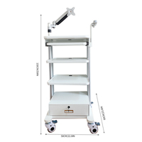Chariot d'endoscopie médicale mobile personnalisable, directement de l'usine, avec 3 plateaux et tiroir verrouillable, pour hôpital ou clinique