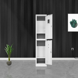 Steel <b>Lockers</b> Double Door <b>Storage</b> <b>Cabinet</b> Key Lock Narrow Floor <b>Locker</b> for Office School Home Use - Product Image 3