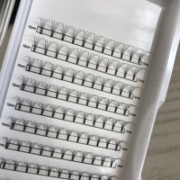 Extensions de cils pré-faits en éventail 2D 3D 4D 5D 6D, noir intense, 0.07 0.10, courbures C D CC DD, tige courte, longueur 7-18mm, vente en gros