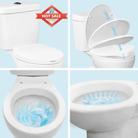 Ensemble WC moderne 2 pièces avec cuvette intégrée, couleur vert nouveau