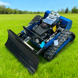 Direktverkauf ab Werk Ferngesteuerter Spindelmäher Rasenmäher Garten-Raupenmäher Grasschneider Benzin-Rasenmäher mit CE-Zertifizierung - Product Image 2