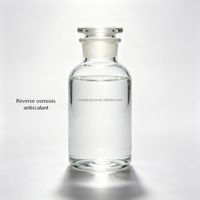 Anticalcaire chimique RO efficace pour la protection des membranes dans les stations de traitement d'eau à haut débit