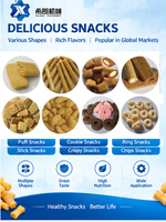 Mesin Pembuat Snack Puff Isi Nasi Otomatis, Mesin Pembuat Snack Puff Jagung, Lini Pengolahan Makanan Ringan Ekstruder Sekrup Ganda