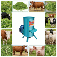 Industriële groentehakselaar 3500W, 304SS motor, landbouwmachines, hoge productiviteit voor cacaobonen en palmpitenschalen