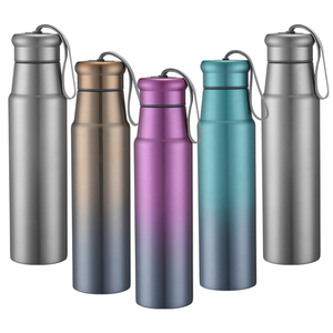 Tùy Chỉnh Phích Nước Đôi Tường Thép Không Gỉ Phích Nước Chai Chân Không Flask Với Xử Lý - Product Image 1