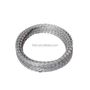 Alambre de púas de acero inoxidable galvanizado en caliente, hoja de concertina, alambre de púas para prisión - Product Image 2