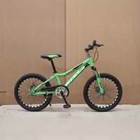 Vélo de montagne tout-terrain 20 pouces à vitesse unique, cadre en acier, frein à disque, amortisseur avant, vélo VTT, fourniture d'usine