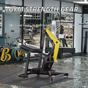 Mesin Angkat Lateral Belakang Berbeban Plat Komersial, Peralatan Latihan Bahu dari Baja, untuk Penggunaan di Gym Dalam Ruangan - Product Image 2