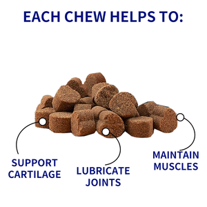 Suplemento Masticable Suave para Perros con Membrana de Cáscara de Huevo, Ácido Hialurónico y Cartílago, para Soporte y Lubricación Rápida de Articulaciones de Cadera, OEM Senior Advanced - Product Image 3