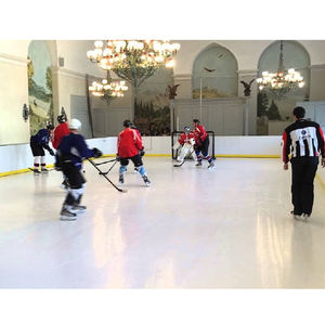 Backyard Hockey Rink 1000x2000 Synthetic Indoor/Outdoor <b>Ice</b> Tiles for <b>Skating</b> - Product Image 2