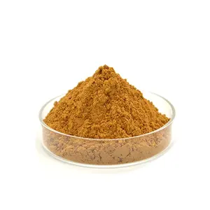 Organic Barley Malt Extract Food Grade Malt Extract Powder