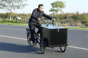 KUAKE Nouveau style 250W Vélo cargo <span class=keywords><strong>hollandais</strong></span> à chargement frontal à <span class=keywords><strong>3</strong></span> <span class=keywords><strong>roues</strong></span> pour usage familial, vélo cargo électrique pour la livraison - Product Image 6