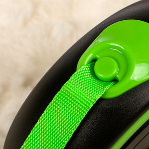 Produttore commercio all'ingrosso di colore rosa verde blu di plastica di nylon automatico cane al guinzaglio retrattile - Product Image 3