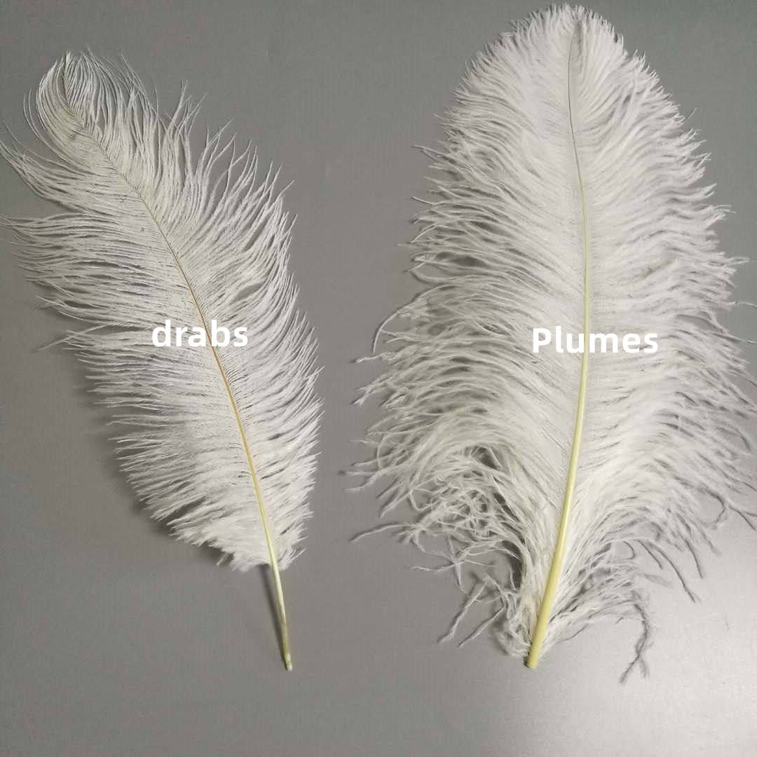 Acquista 10 pezzi di grandi piume di struzzo da 15-50 cm, giallo dorato, soffici piume per artigianato fai da te, centrotavola per matrimonio, decorazione accessori in Italia a partire da 8.47