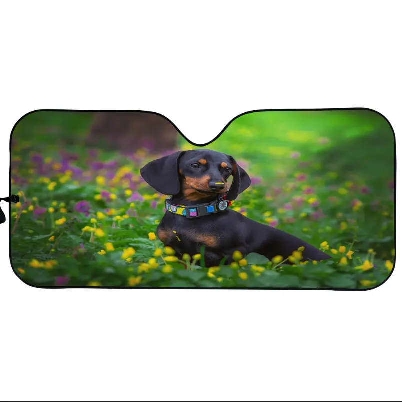 Guarda-sol personalizado para carro, guarda-sol para cachorro Dachshund, acessórios para carro