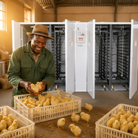 Incubateur d'œufs automatique 19712, couveuse industrielle pour volailles, machine intelligente d'éclosion d'œufs de poulet pour les exploitations à grande échelle