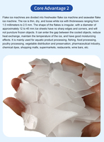 Máquina de Hielo en Escamas China Haiyue de 10 Toneladas con Control PLC, Máquina Industrial de Hielo en Escamas de Alta Tecnología