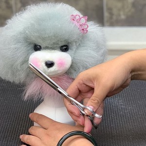 Modelo de Cabeza de Perro Teddy para Prácticas, Esqueleto de Práctica para Escuelas de Estética Canina, Debe Usarse con Pelo Sintético - Product Image 5