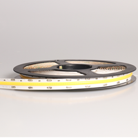 Bande LED IP65 en PVC pour éclairage de rue et lumières décoratives 3000K-6000K 24V/110V/220V