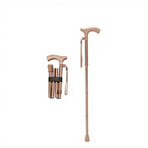 Canne télescopique en alliage d'aluminium avec poignée en T et embout en caoutchouc, capacité de 250 LBS, pour l'alpinisme, OEM accepté - Product Image 1