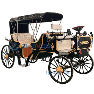 Carroza de Turismo sin Caballos de Color Negro para Transporte Especial en Venta/Carroza para Caballos en Venta - Product Image 1