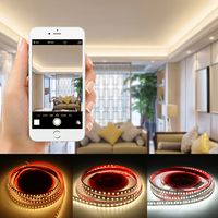 Usine personnalisée haute luminosité LED bande lumineuse 2835 12/24V LED bande ruban chaîne 120led/M chambre décoration de la maison blanc naturel