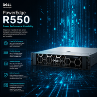 Servidor en Rack Dell R550, Arquitectura 2U para Copias de Seguridad de Archivos y Servicios de Aplicaciones