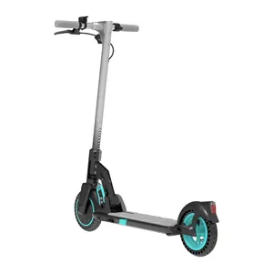 Guangzhou Ningbo Yongkang 10 Inch 500 w 1000w Wheels Removable Battery Electric Scooter