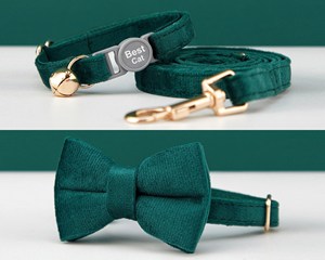 Breakaway Green + Teal + White Veet Cat Collar Bowtie Leash Set, hebilla de seguridad con nombre de gatito grabado personalizado, oro gratis - Product Image 4