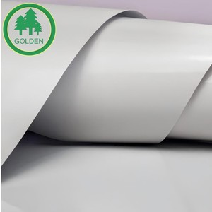 Serie de Papel de Arte Recubierto Ecológico para Uso en Libros, Revistas y Paquetes de Regalo - Product Image 3