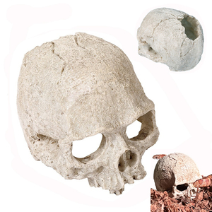 Decoración <span class=keywords><strong>de</strong></span> <span class=keywords><strong>Esqueleto</strong></span> con Cabeza Artificial, Adorno <span class=keywords><strong>de</strong></span> Calavera para Acuario, Cueva para Escondite <span class=keywords><strong>de</strong></span> <span class=keywords><strong>Reptiles</strong></span>, Cráneos Decorativos para Pecera - Product Image 1