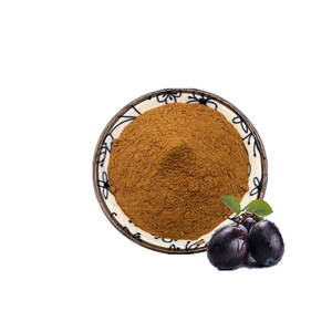 Экстракт черной сливы/экстракт семян джамуна/экстракт плодов сливы 5:1, 10:1, 20:1 - Product Image 1