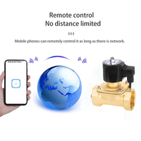 Vente directe d'usine DN08-DN50 Vanne solénoïde en laiton à commande à distance par téléphone portable Fonction Wi-Fi Normalement fermée pour le contrôle de l'eau