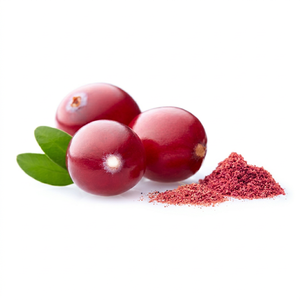 Polvo de Arándanos Liofilizado 60% Grado Alimenticio, Extracto de Fruta Extraído con Solvente, Suplemento Rico en Antocianinas, Nutrición Diaria - Product Image 1