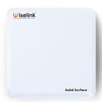Échantillon Lien 100x100mm Surface Solide Dalle Feuille 12-30mm D'épaisseur Étanche Pierre Artificielle Modifié Acrylique Comptoirs Mur