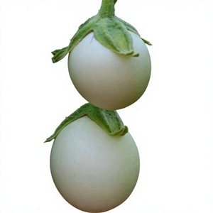 Berenjenas encurtidas dulces y ácidas, estilo cortado a medida, en vinagre transparente, enteras, listas para comer, bolsa de 5 kg, origen Vietnam - Product Image 1