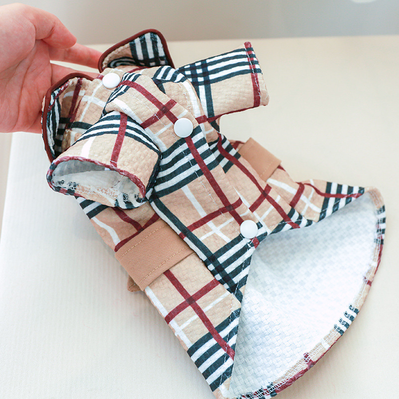burberry dog